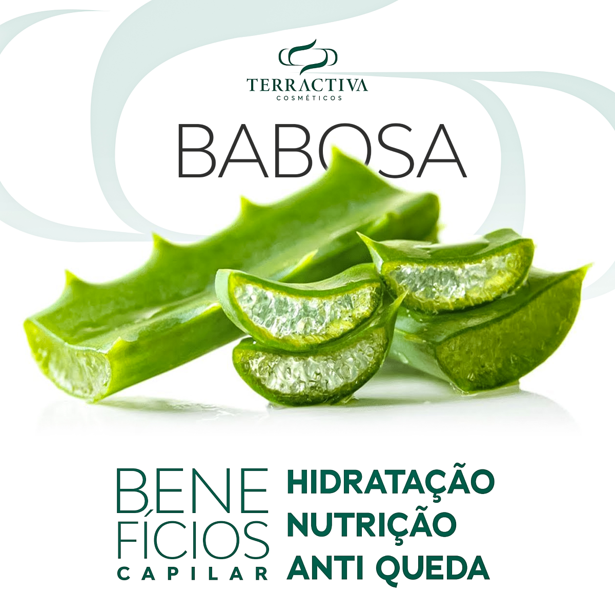 Kit Babosa Com Máscara e Shampoo De 300ml TERRACTIVA