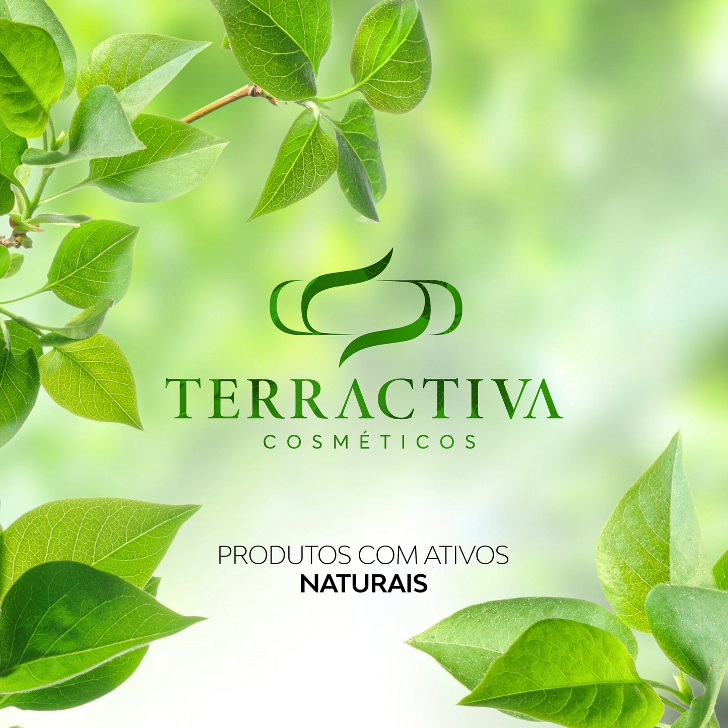Kit Babosa Com Máscara e Shampoo De 300ml TERRACTIVA